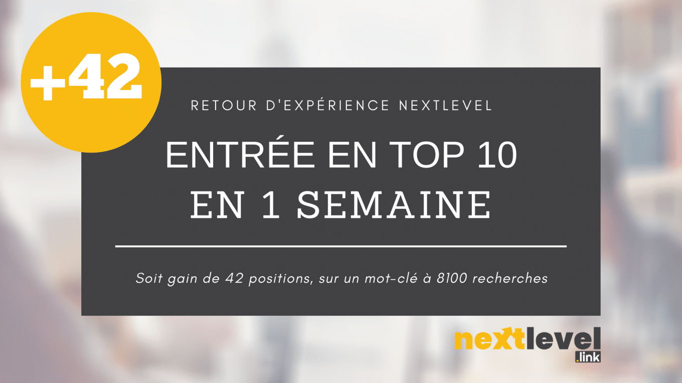 Retour d’expérience netlinking d’un client dans les armes blanches