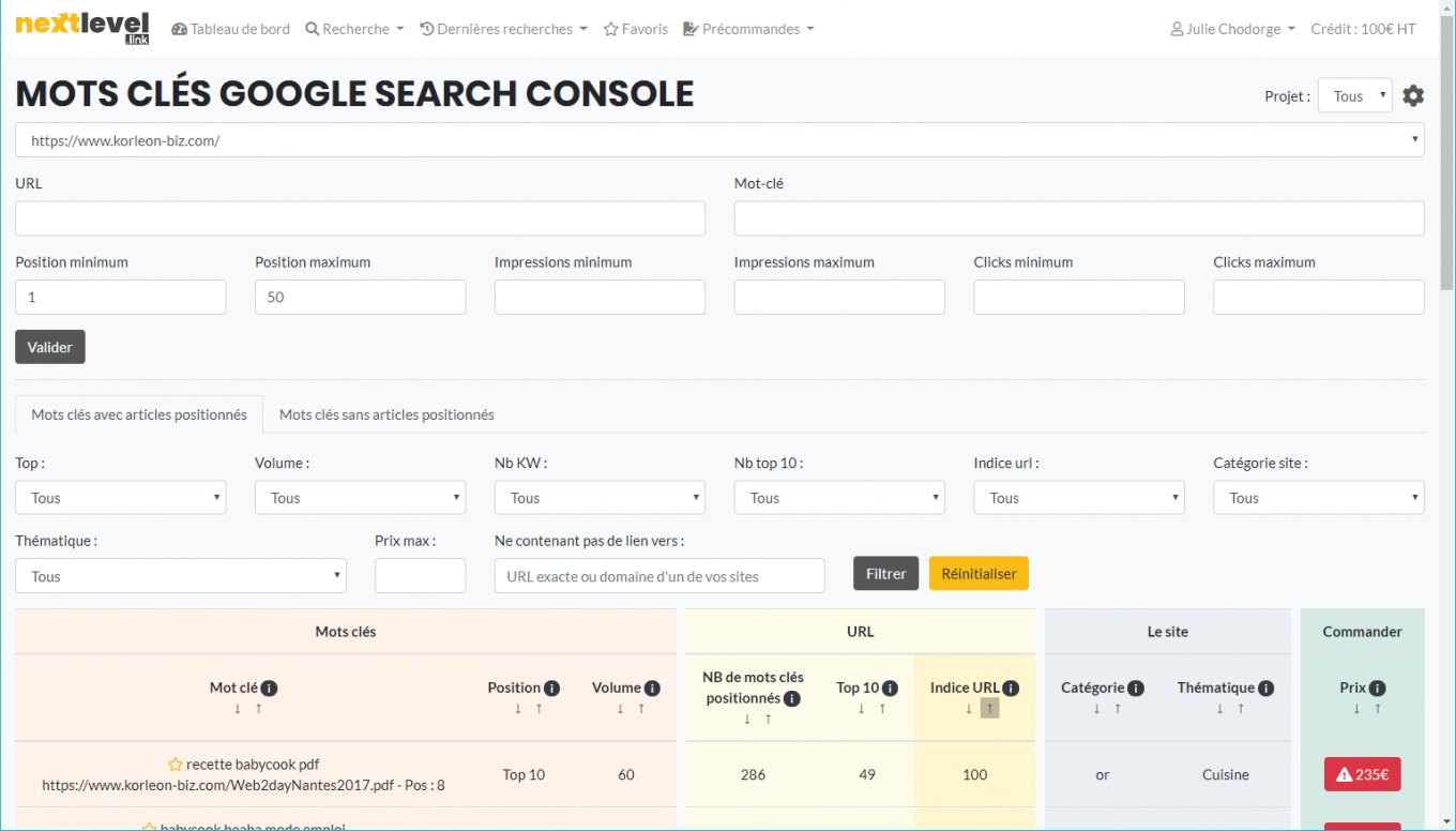 Recherche Search Console sur NextLevel