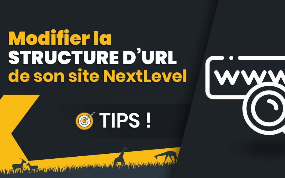 Modifier la structure d'URL d'un site NextLevel