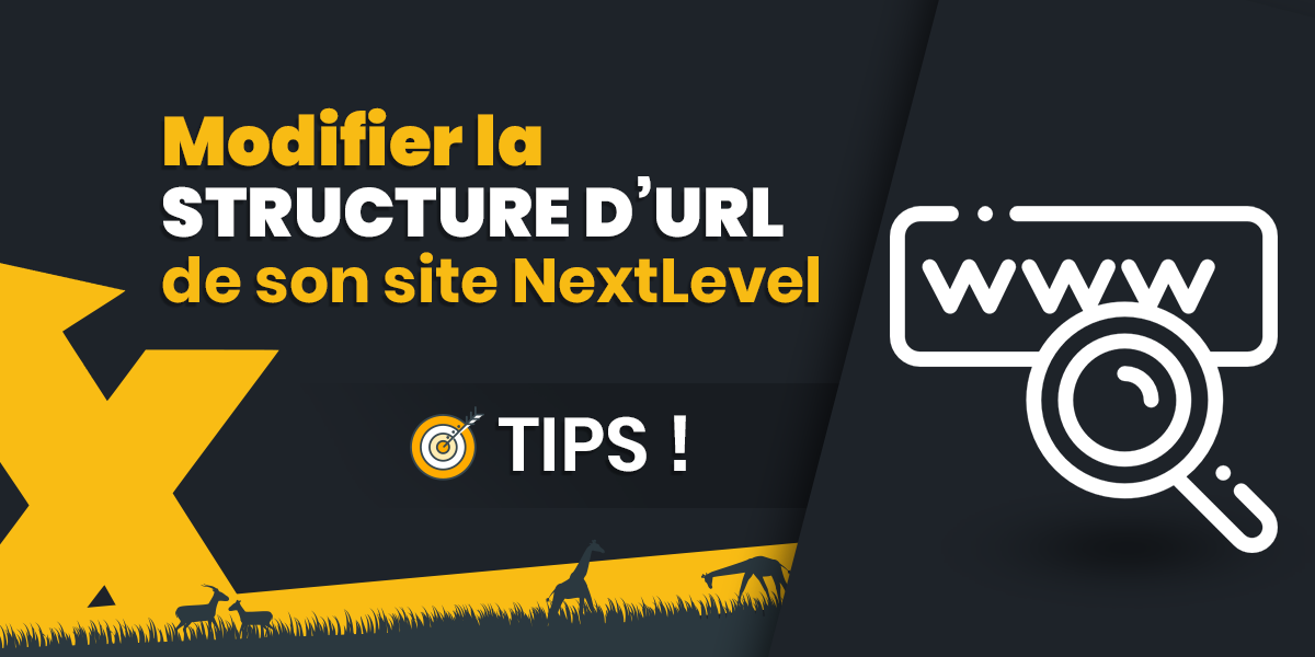 Modifier la structure d'URL d'un site NextLevel