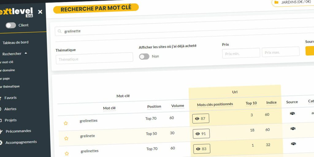 Une recherche de mot clé simple sur NextLevel