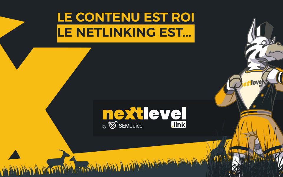 Contenu est roi, netlinking est la reine