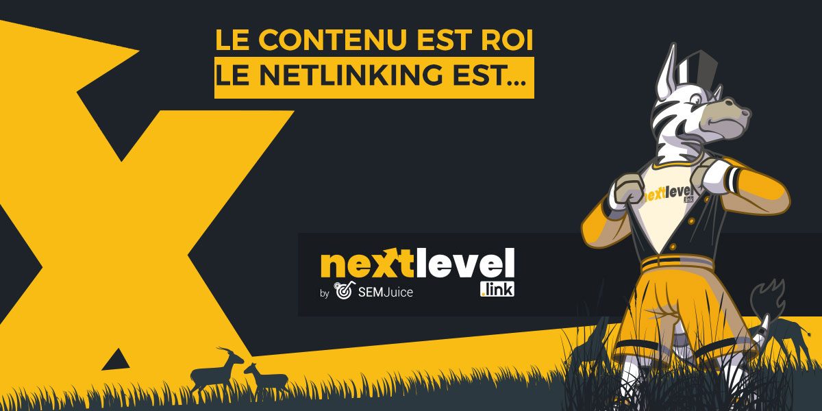 Contenu est roi, netlinking est la reine